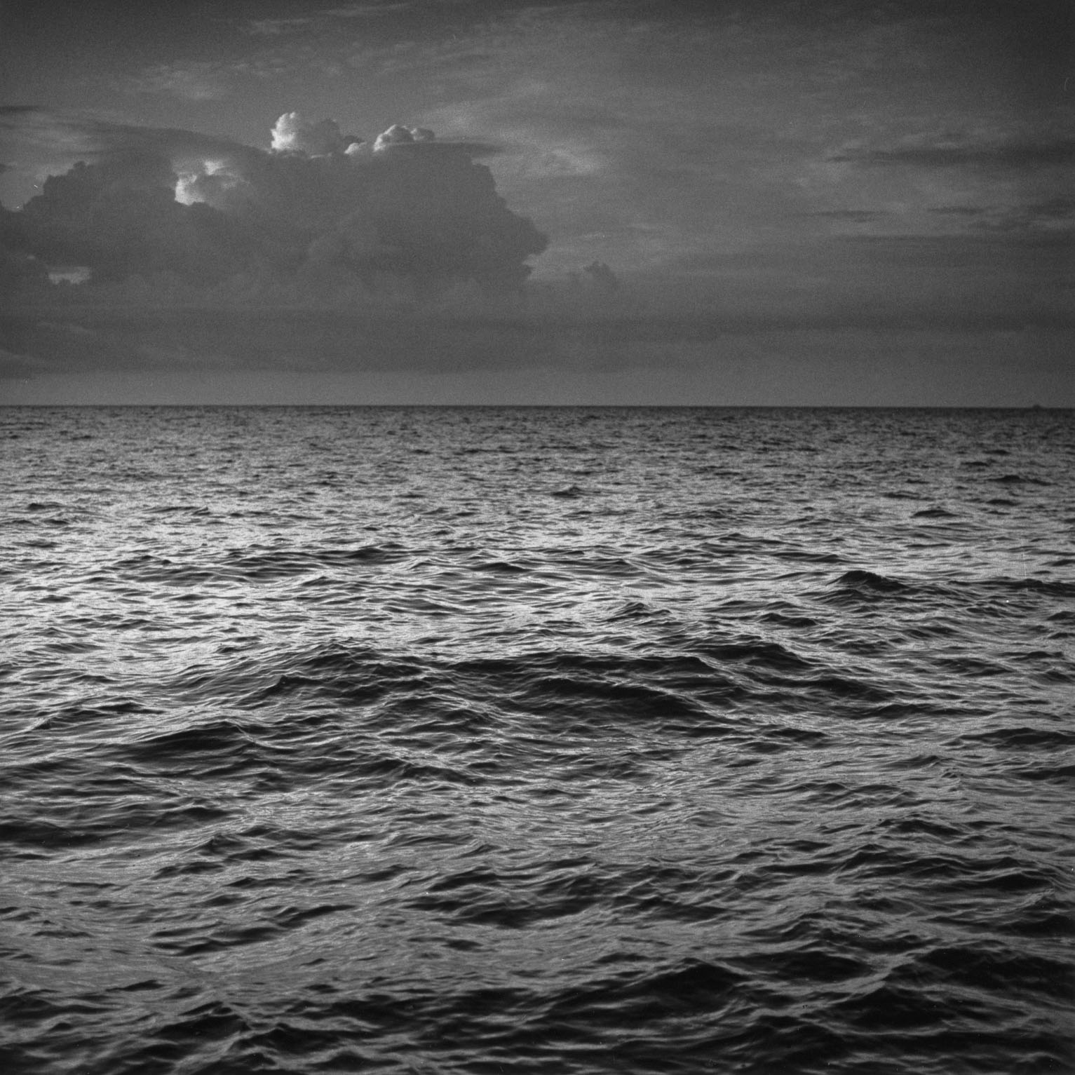 Ocean Cervino Black Fotocromatico